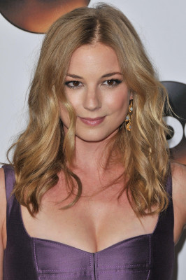 Emily VanCamp - TCA Winter Press Tour in Pasadena 01/14/2015
