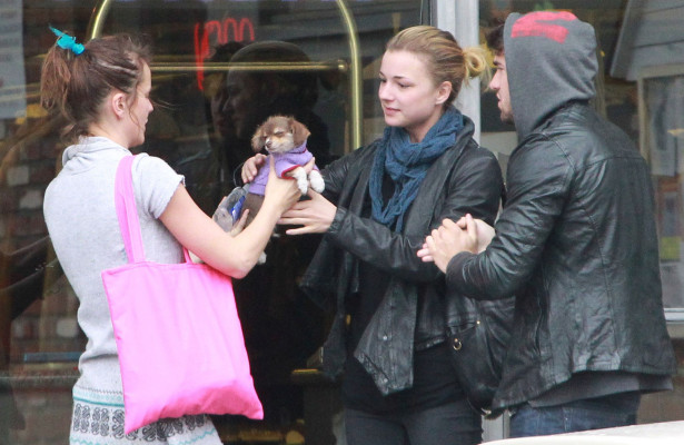 Emily VanCamp - Los Angeles 03/17/2012