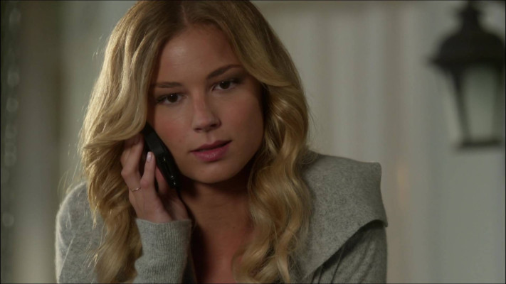 Emily van Camp pic #814803