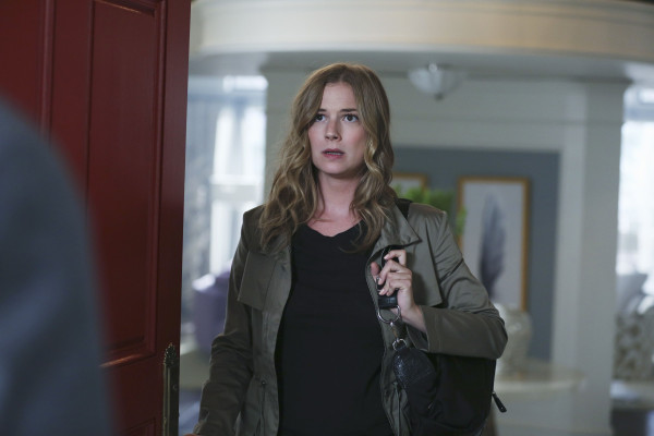 Emily van Camp pic #835811