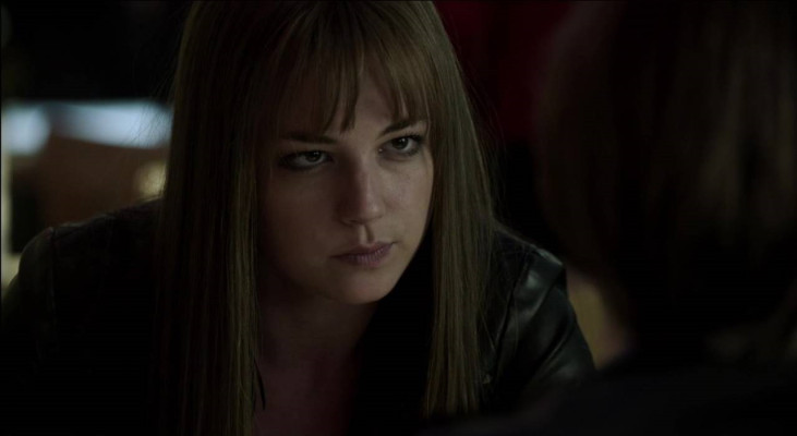 Emily van Camp pic #848919