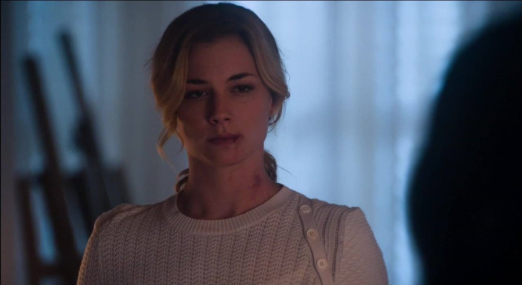 Emily van Camp pic #814804