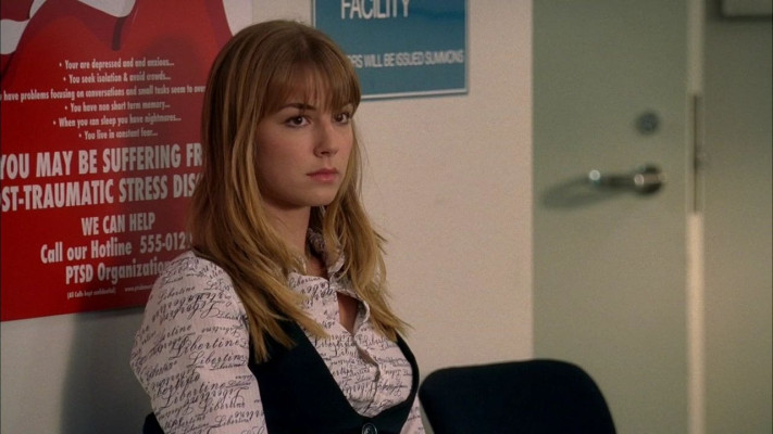 Emily van Camp pic #853162