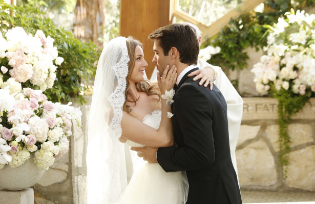 Emily van Camp pic #880708