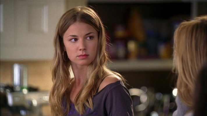 Emily van Camp pic #888214