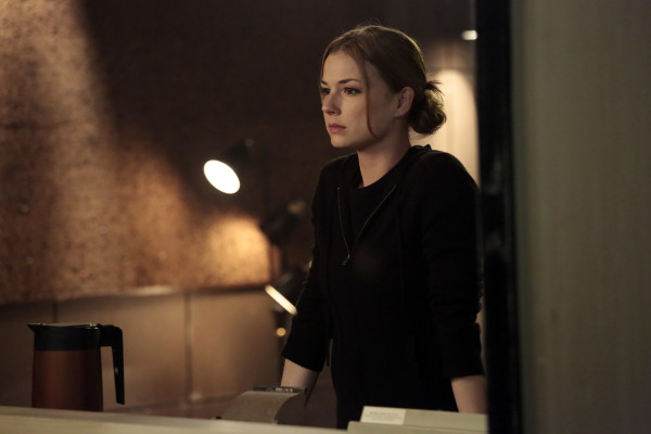 Emily van Camp pic #851206