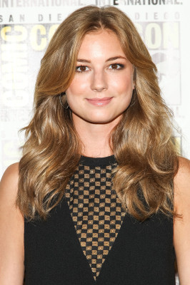 Emily VanCamp - &#039;Captain America: The Winter Soldier&#039; Comic-Con Panel 07/20/2013