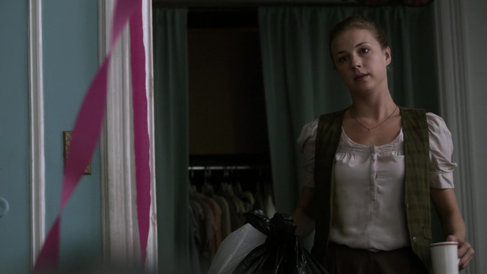 Emily VanCamp - The Girl in the Book (2015)