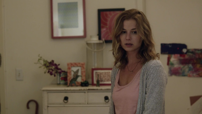 Emily VanCamp - The Girl in the Book (2015)