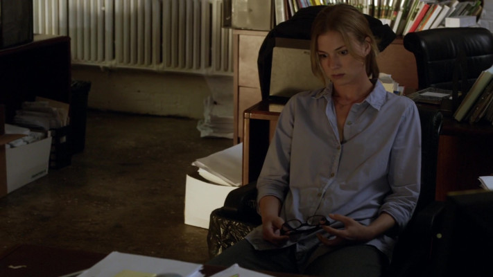 Emily VanCamp - The Girl in the Book (2015)