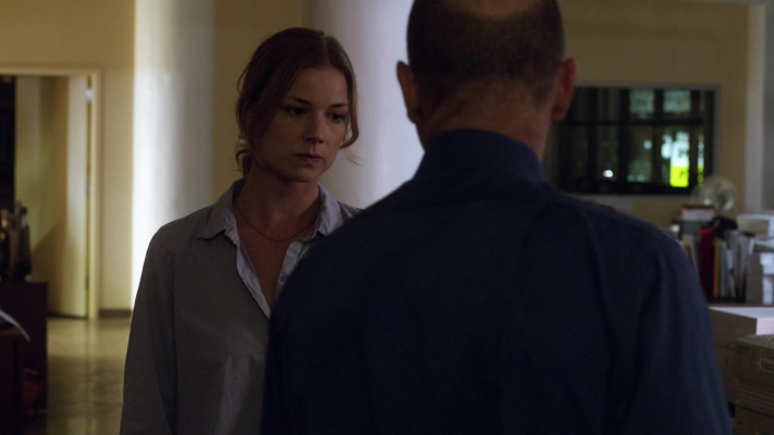 Emily VanCamp - The Girl in the Book (2015)