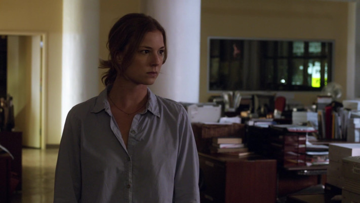 Emily VanCamp - The Girl in the Book (2015)