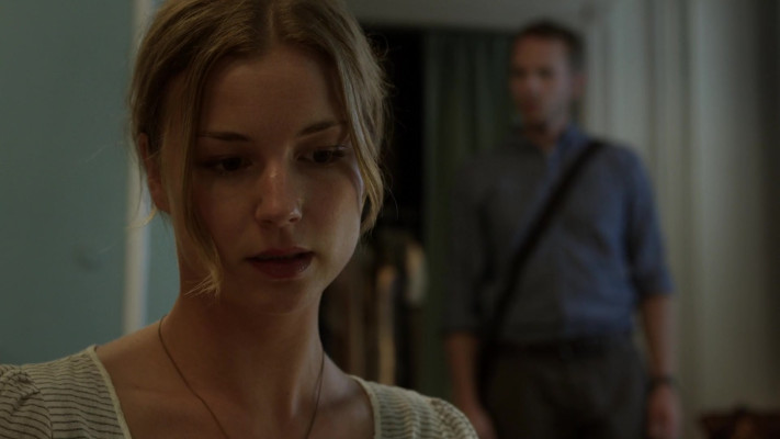 Emily VanCamp - The Girl in the Book (2015)