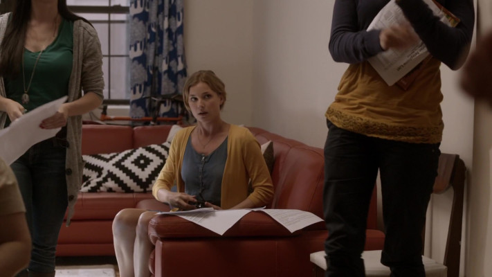 Emily VanCamp - The Girl in the Book (2015)