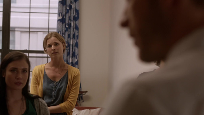 Emily VanCamp - The Girl in the Book (2015)