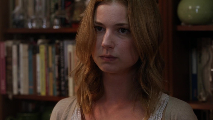 Emily VanCamp - The Girl in the Book (2015)