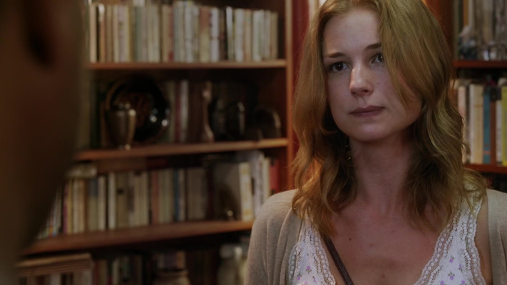 Emily VanCamp - The Girl in the Book (2015)