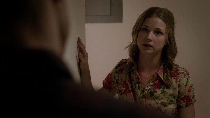 Emily VanCamp - The Girl in the Book (2015)