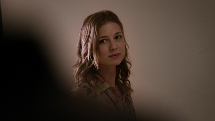 Emily VanCamp - The Girl in the Book (2015)