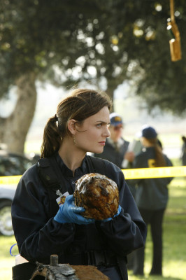 Emily Deschanel pic #294440