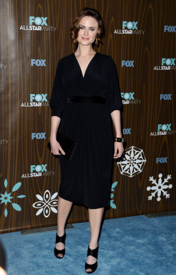 Emily Deschanel pic #234902