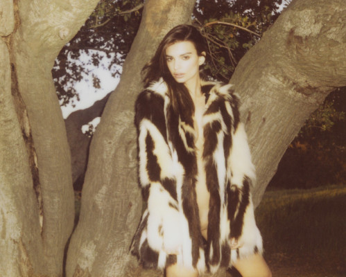 Emily Ratajkowski pic #649650