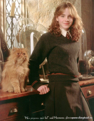 photo 7 in Emma Watson gallery [id45243] -0001-11-30 00:00:00