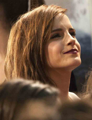 photo 11 in Emma Watson gallery [id714593] 2014-03-29 00:00:00