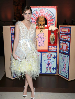 photo 15 in Emma Watson gallery [id678884] 2013-11-19 00:00:00