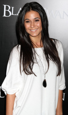 Emmanuelle Chriqui pic #321713