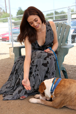 Emmy Rossum pic #826043