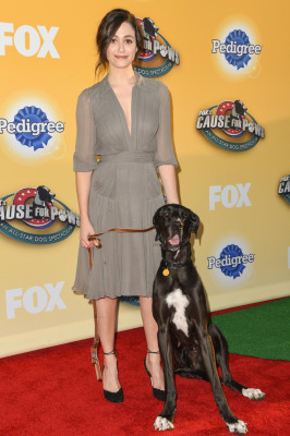 Emmy Rossum pic #775639
