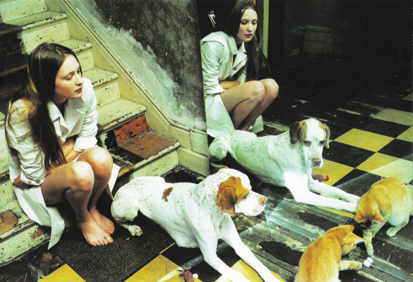 Erika Wall pic #1247373