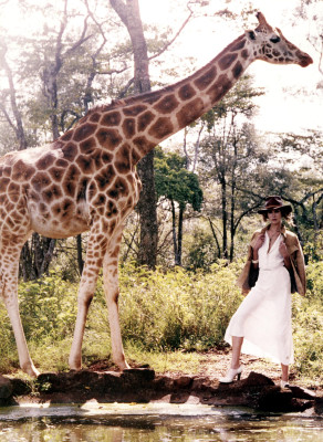 photo 11 in Erin Wasson gallery [id28293] -0001-11-30 00:00:00