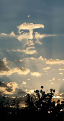 Ernesto Che Guevera pic #277135