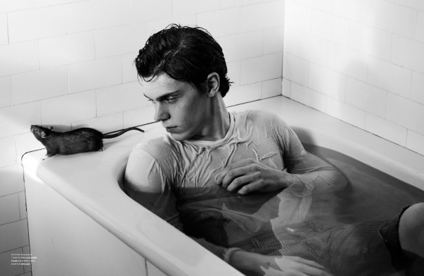 photo 3 in Evan Peters gallery [id586949] 2012-11-30 00:00:00