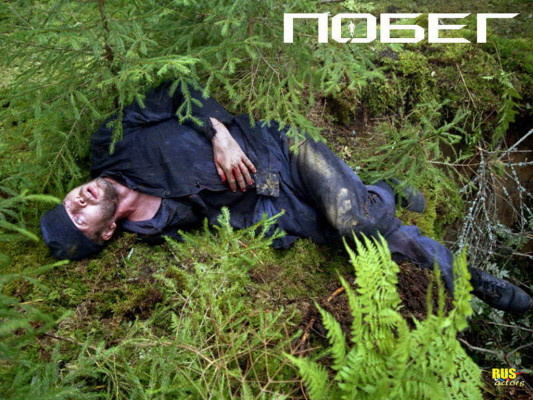 photo 9 in Evgeniy gallery [id342887] 2011-01-18 00:00:00