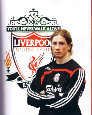 Fernando Torres pic #308088