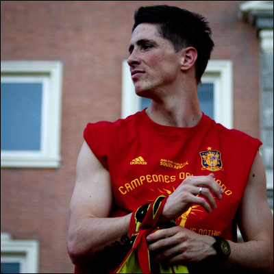 Fernando Torres pic #278355
