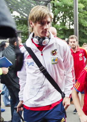 Fernando Torres pic #523318
