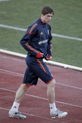 Fernando Torres pic #356447