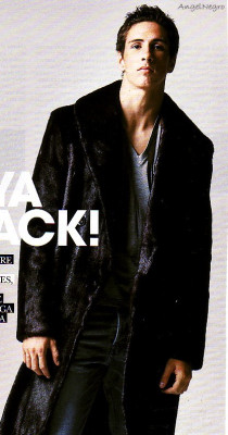 Fernando Torres pic #108365