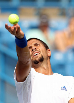 photo 8 in Verdasco gallery [id414011] 2011-08-19 00:00:00