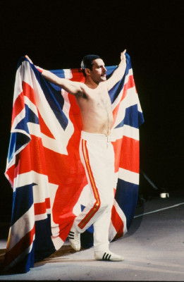 Freddie Mercury pic #663331