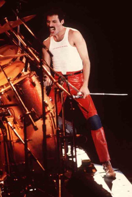 Freddie Mercury pic #706378