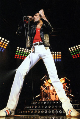 Freddie Mercury pic #717508