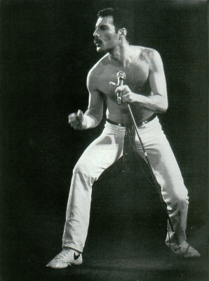 Freddie Mercury pic #241409