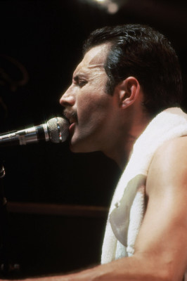 Freddie Mercury pic #241408