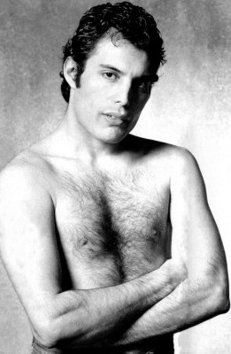 Freddie Mercury pic #664320