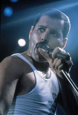 Freddie Mercury pic #671900